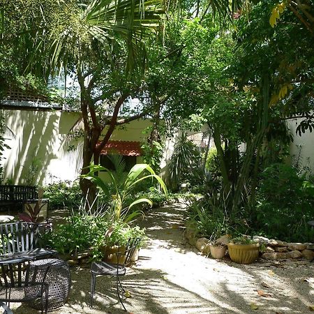 Decu Downtown Hotell Mérida Eksteriør bilde